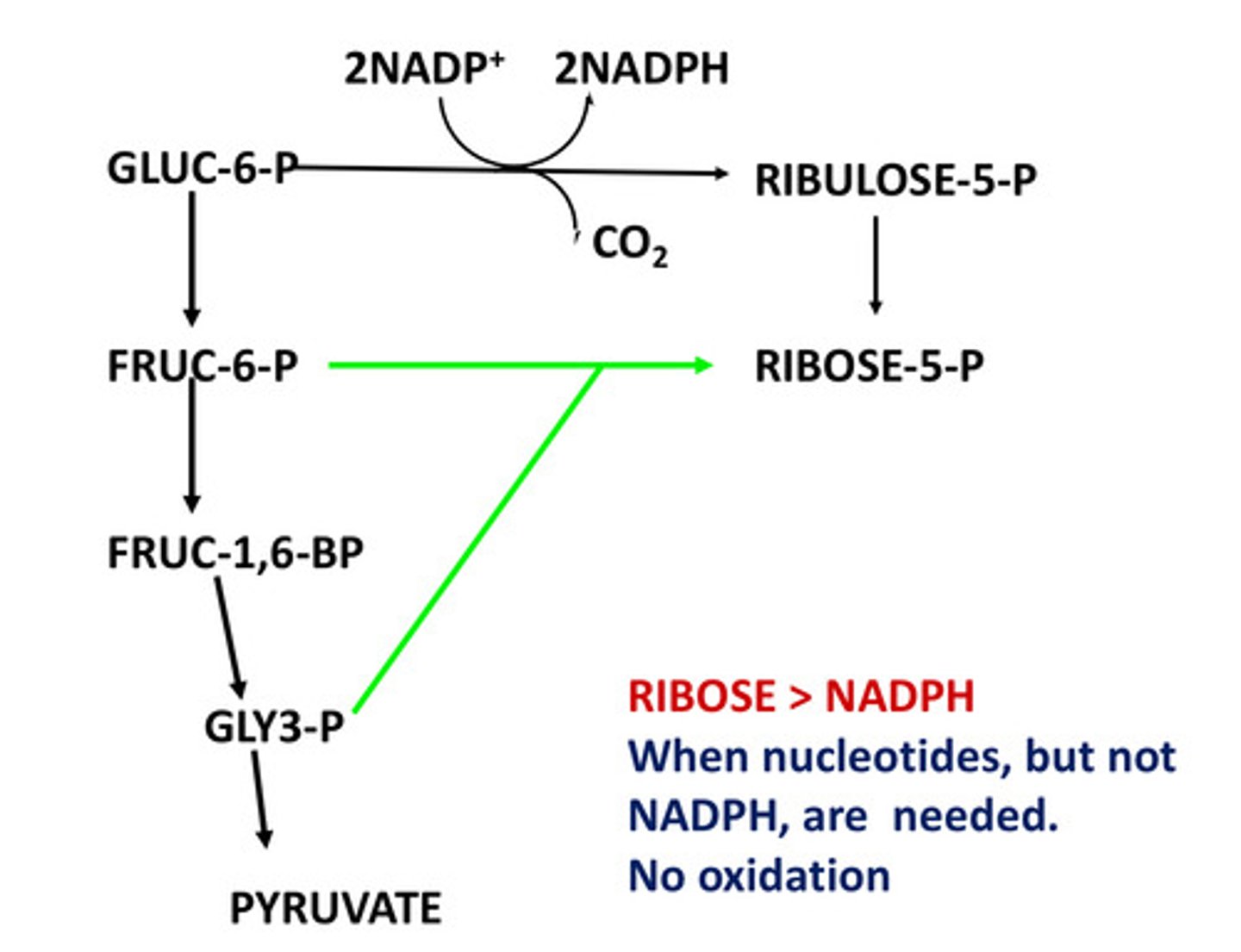 <p>When nucleotides, but not NADPH are needed</p><p>No oxidation</p>