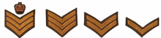 <p>Name these Army Ranks</p>