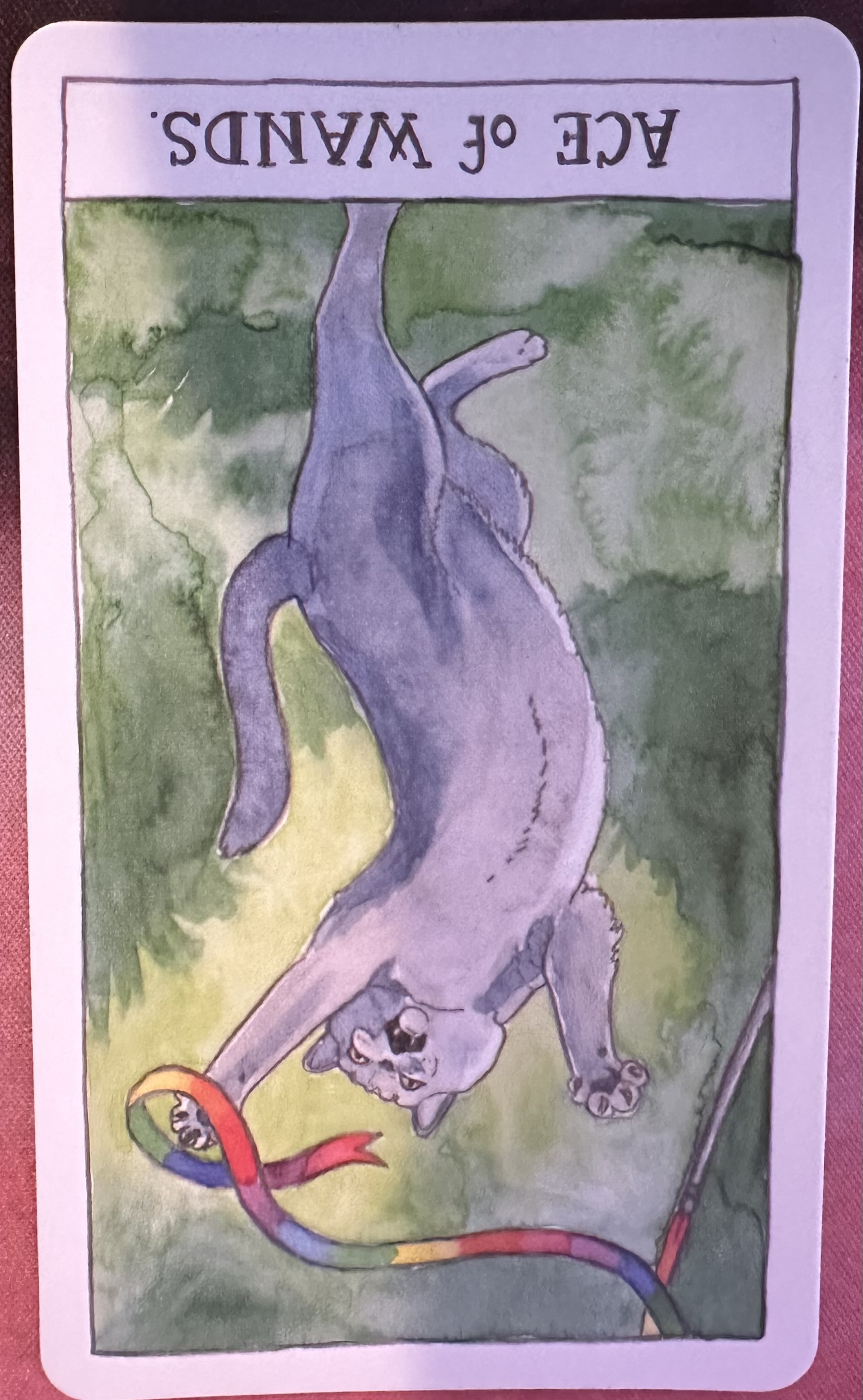 <p>Ace of Wands Reverse</p>