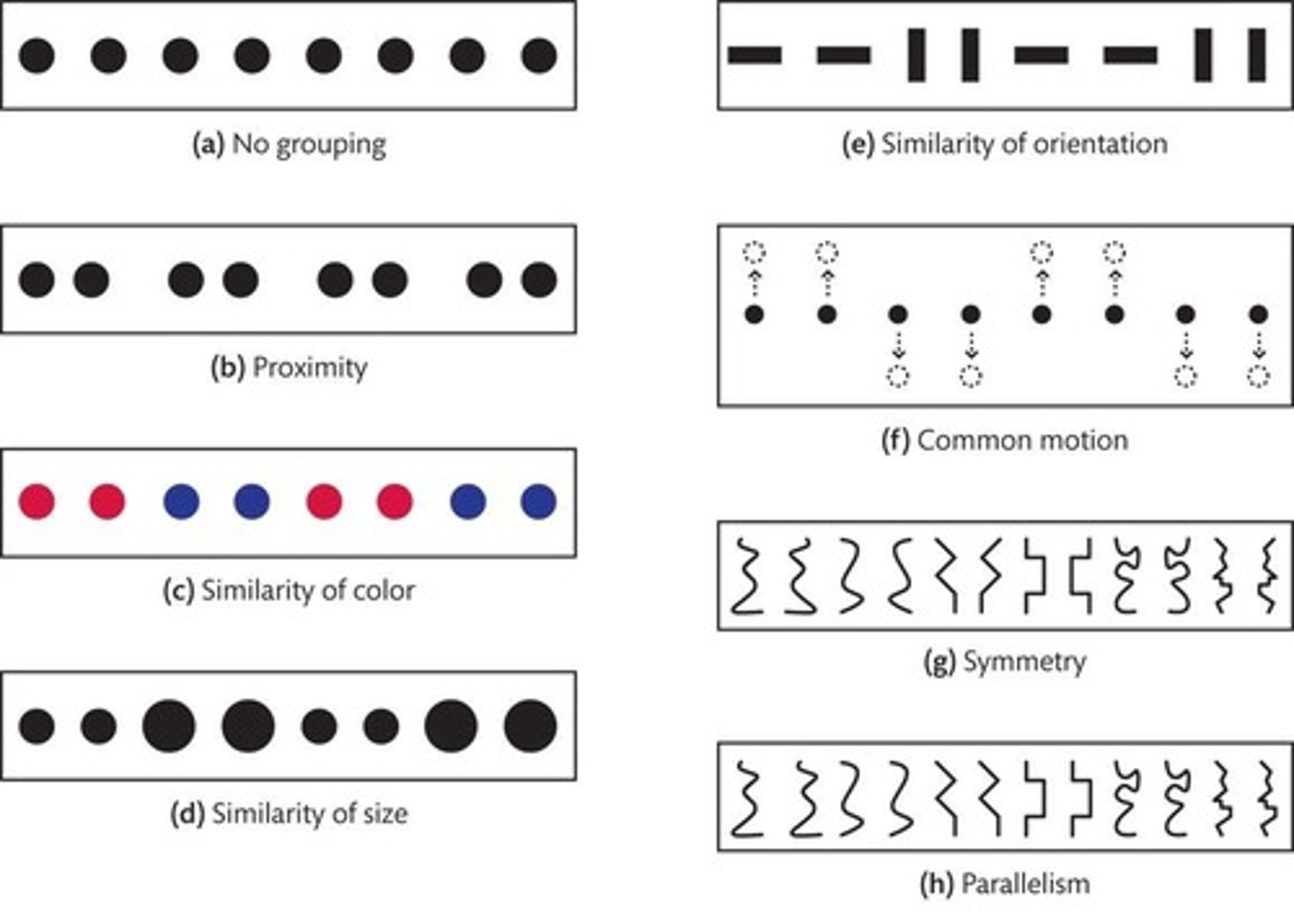 <p>The perception of the whole is more than simply the sum of the individual parts.</p>