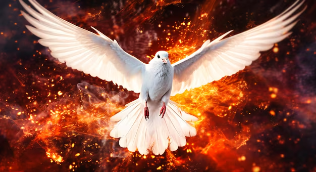 <p><strong>Biała gołębica</strong></p>