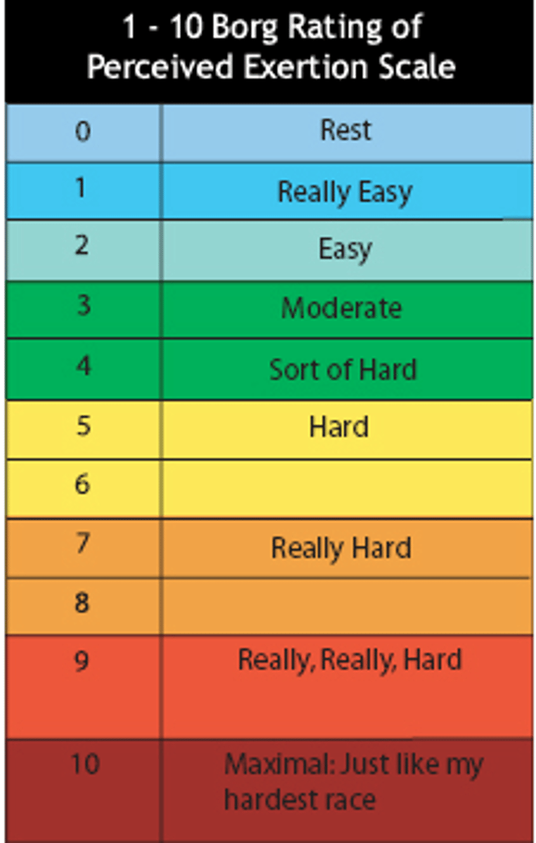 <p>used to subjectively measure how hard your body works during physical activity. It uses numbers to rate how much effort an activity takes. The RPE scale can help you manage exercise intensity and improve cardio training and endurance.</p>