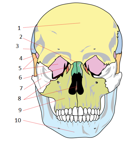 <p>Wat is 5</p>