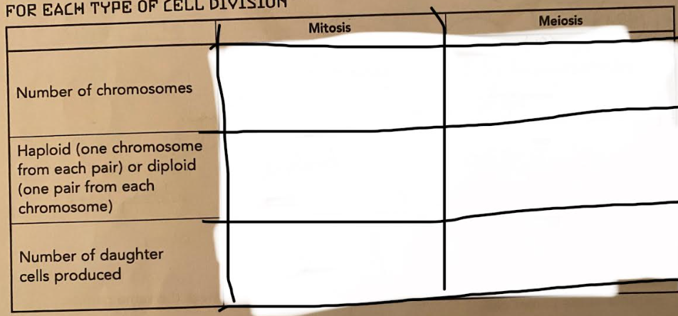 <p>fill in blank</p>