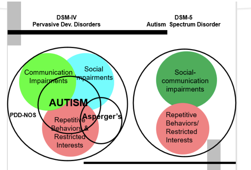 <ul><li><p>DSM IV</p><ul><li><p>Pervasive Developmental Disorders </p><ul><li><p><strong>communication impairments </strong></p></li><li><p><strong>social impairments</strong></p><ul><li><p><u>These 2 can’t be separated</u></p></li></ul></li><li><p>Asperger’s </p></li><li><p>Repetitive behaviors/ restricted interests</p></li></ul></li></ul></li><li><p>DSM V </p><ul><li><p>Autism Spectrum Disorder</p><ul><li><p>Social- communication impairments </p></li><li><p>Repetitive behaviors/ restricted interests</p></li></ul></li></ul></li></ul><p></p>