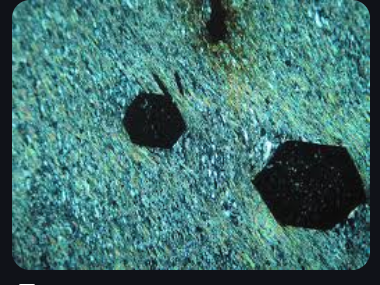 <p>colorless, no cleavage, high relief, no pleochromism, isotropic, no extinction angle, no twinning, often metamorphic.</p>