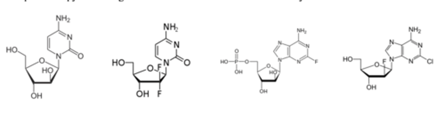 <p>Shown below are 4 drugs that are DNA chain elongation inhibitors working as antineoplastic agents. Which are purine vs. pyrimidine agents? Are all of these nucleosides? Are any nucleotides?</p>