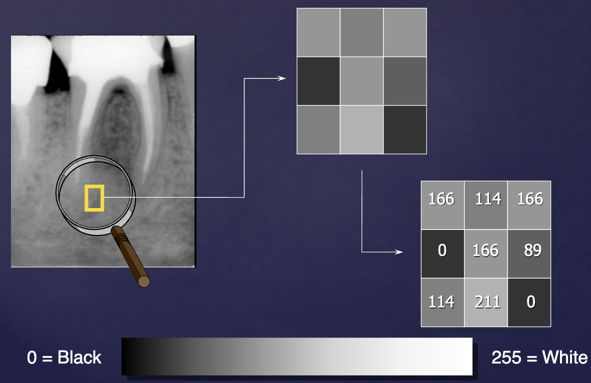 <ul><li><p>matrix/picture element of a digital array which identifies a gray level at that point</p></li><li><p>basic unit of a 2D digital image </p></li></ul><p></p>