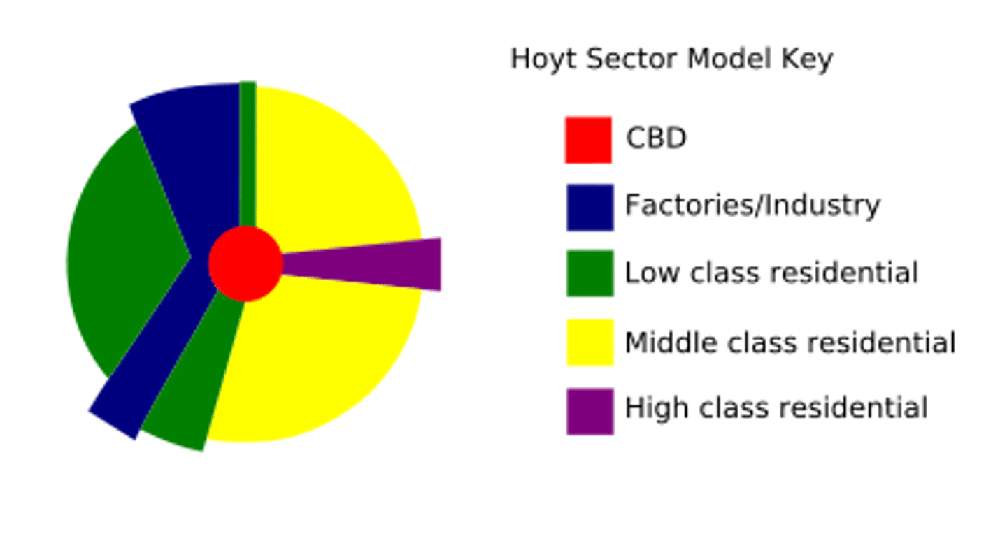 <p>circle divided into pie-shaped wedges that follow transportation routes (like a pizza cut unevenly)</p>