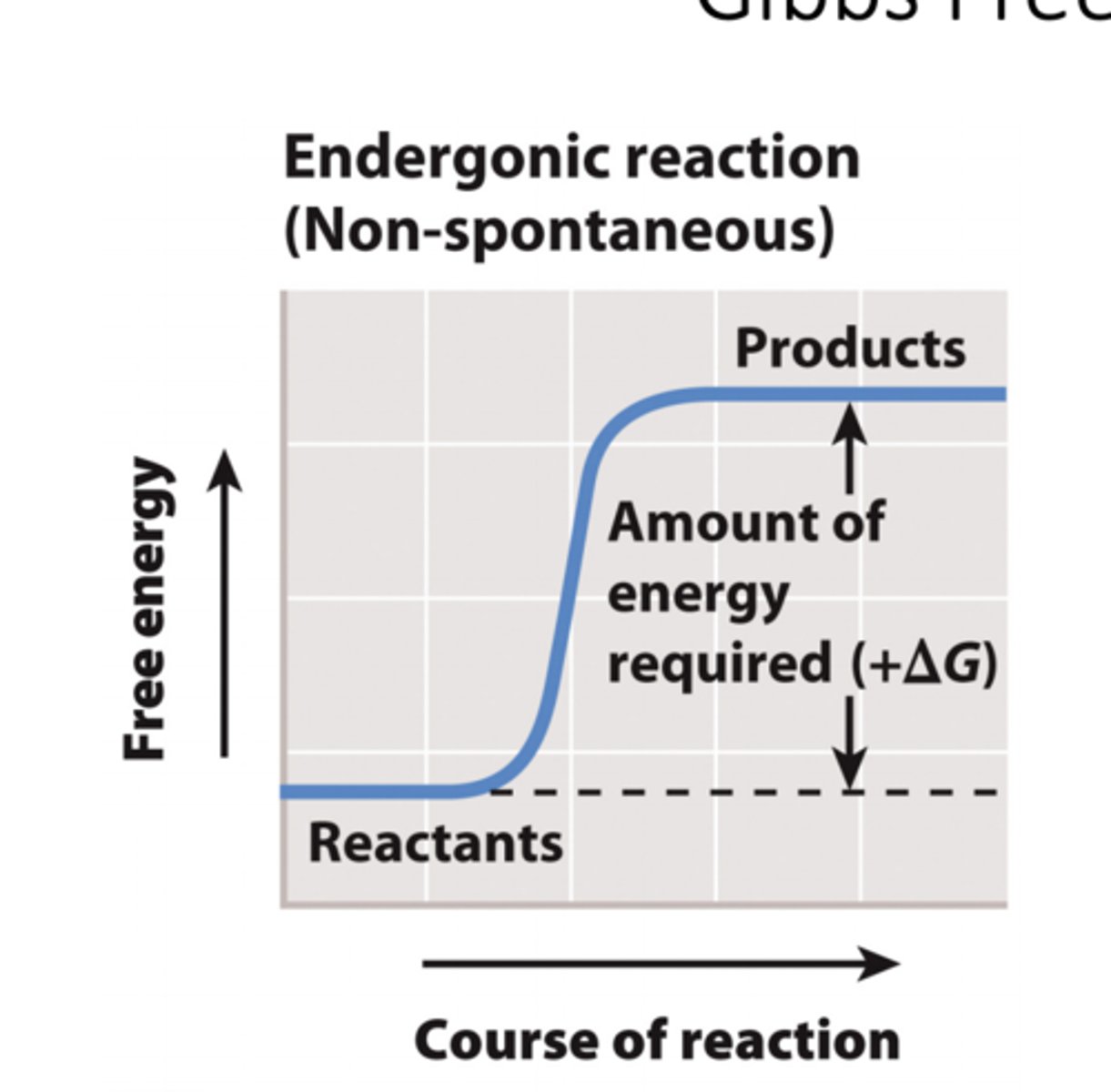 <p>1.The difference in Gibbs free energy between the reactants and the products of a chemical reaction is written as ΔG. <br>2. If the products of a reaction have more free energy than the reactants, then ΔG is positive. <br>3. If the reactants have more free energy than the products, then ΔG is negative. <br>4. Reactions with a positive ΔG require an input of energy and are endergonic.</p>