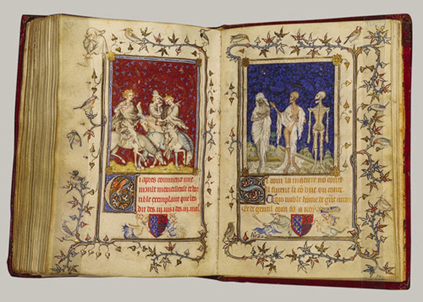 knowt flashcard image