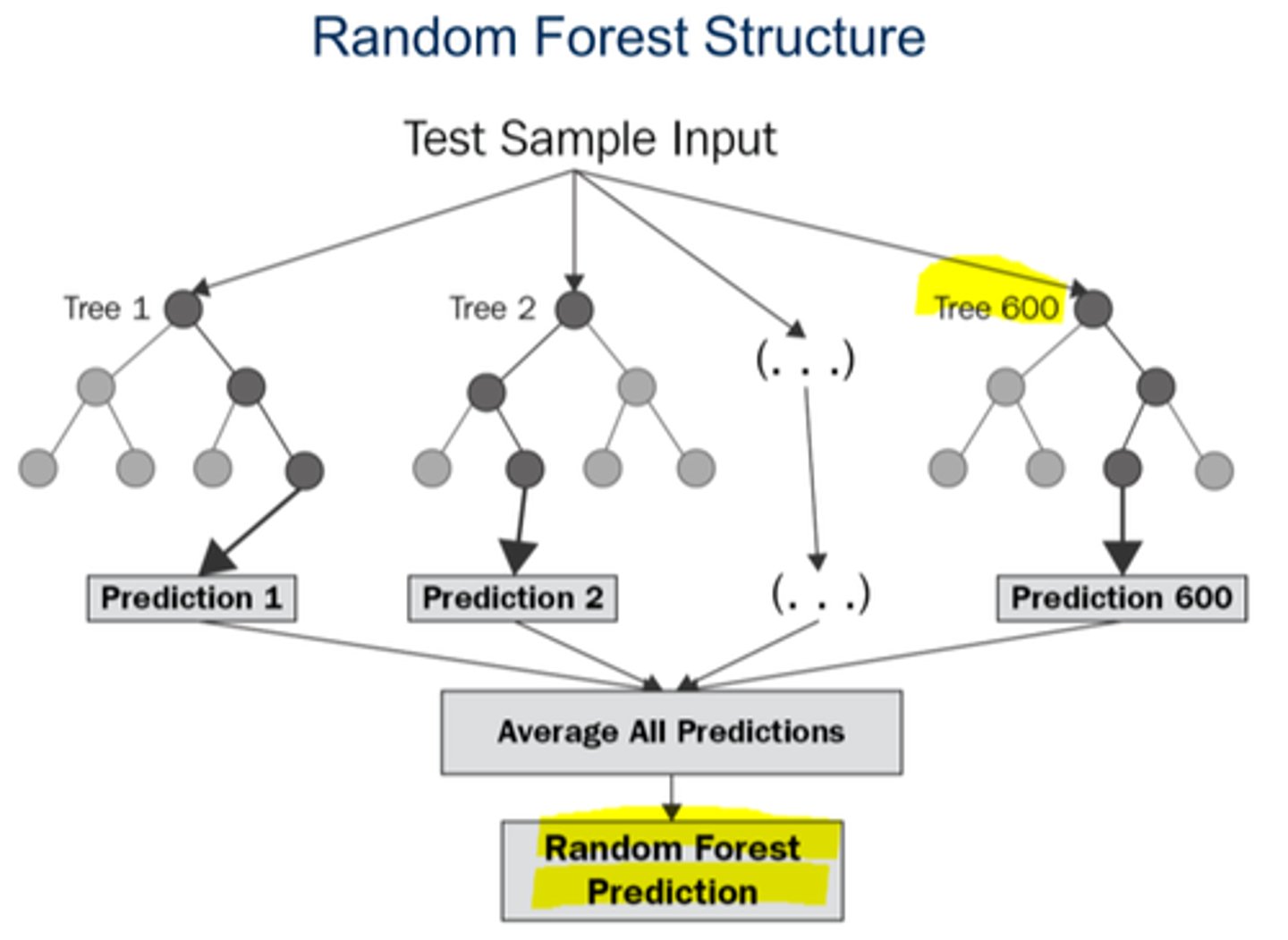<p>A type of ML, uses many decision trees to make better predictions</p>