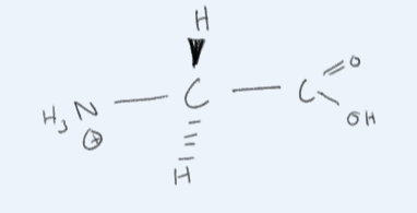 <p>what amino acid is this? </p>