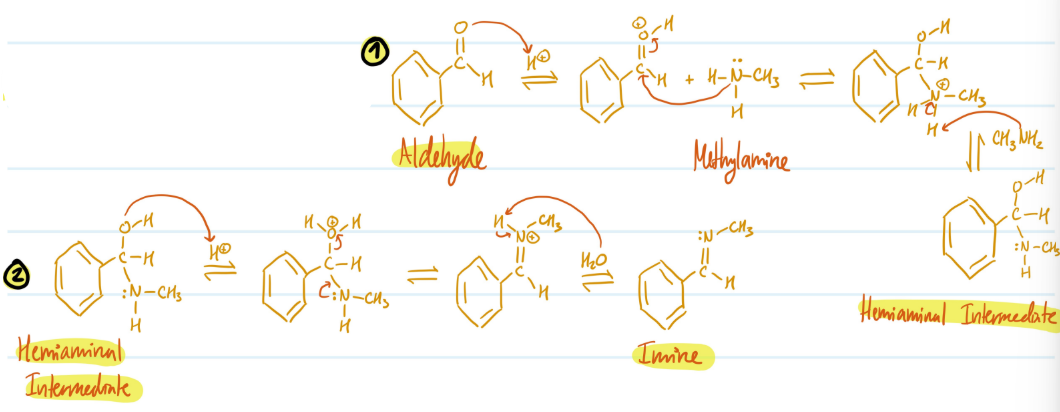 <p>Mechanism</p>