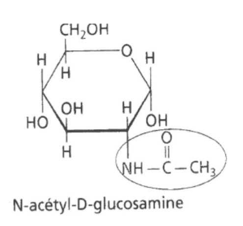 <p>C’est quoi ?</p>