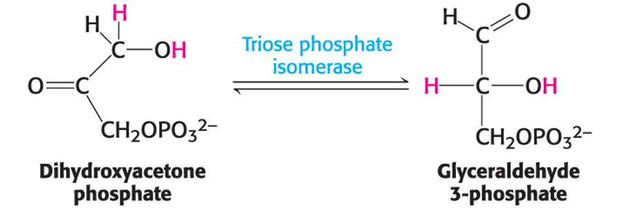 <ul><li><p><span>Move functional groups within a molecule</span></p></li></ul><p></p>
