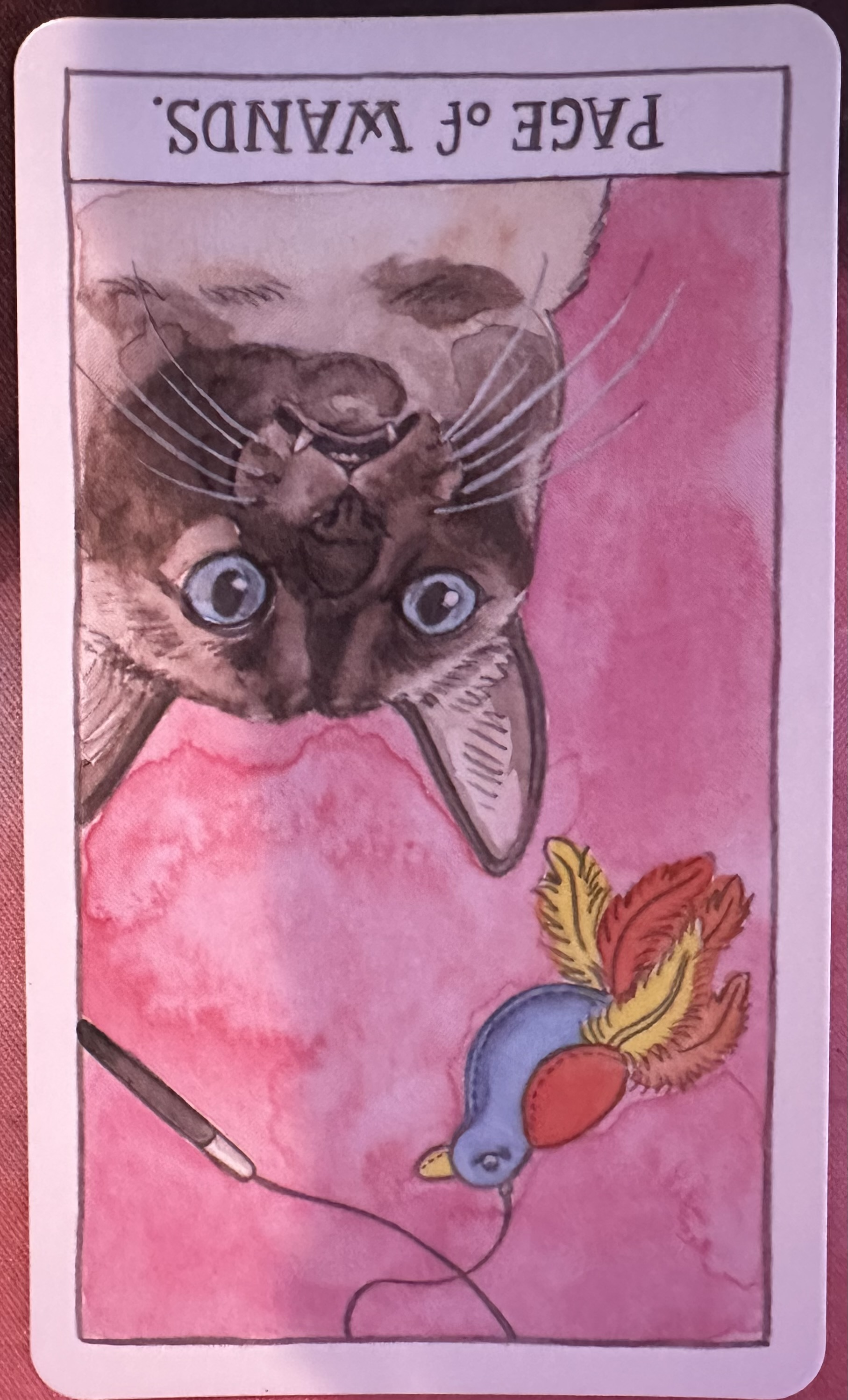 <p>Page of Wands Reversed</p>