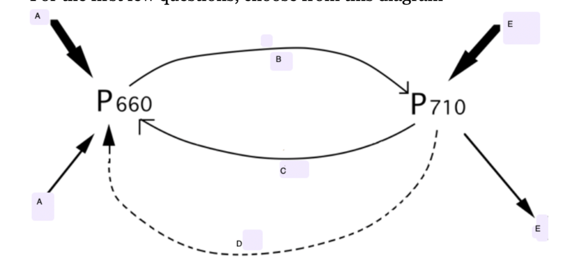 <p>The plant is actively measuring the current level of which form?</p>