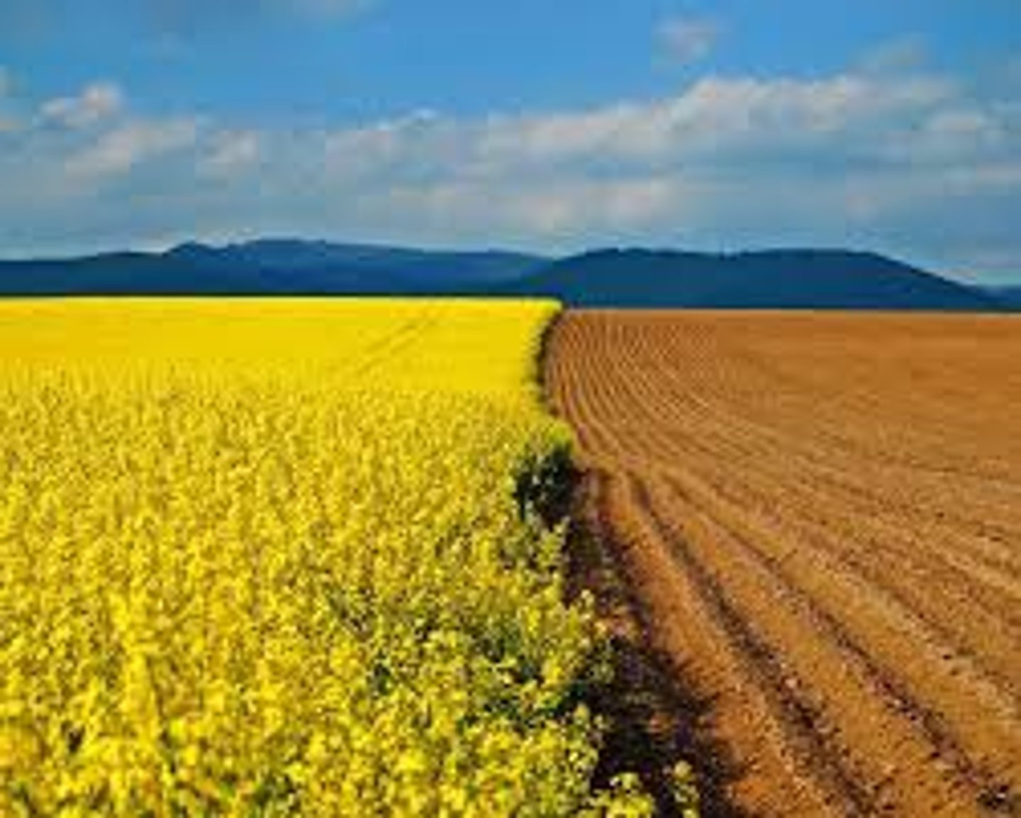 <p>The land which crops are grown on.</p>