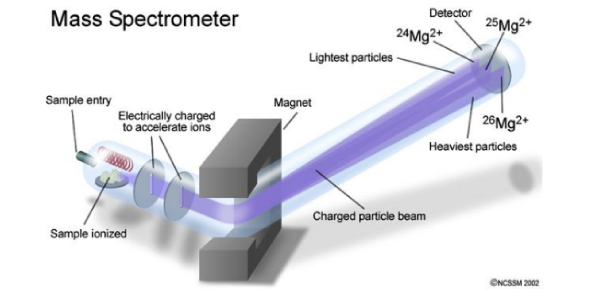 <p>technique used to identify and quantify compounds by measuring the mass-to-charge ratio (m/z) of ionized molecules</p><ul><li><p>atoms are converted to positively charged ions, accelerated and passed through magnetic field that deflects their path</p></li><li><p>heaviest ions (most neutrons) undergo the least deflection</p></li></ul><p></p>