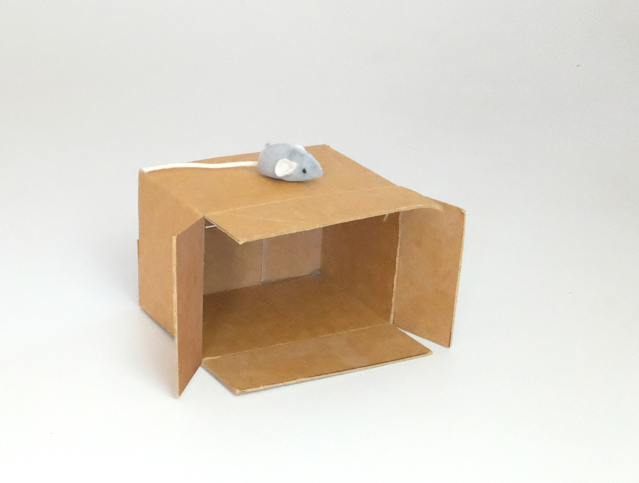 <p>The mouse is <strong>not</strong> <em><span style="color: red">under </span></em>the box.</p>