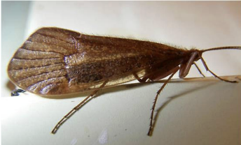 <p>Class 1-pollution sensitive</p>