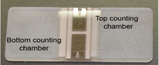 <p>Hemocytometer</p>