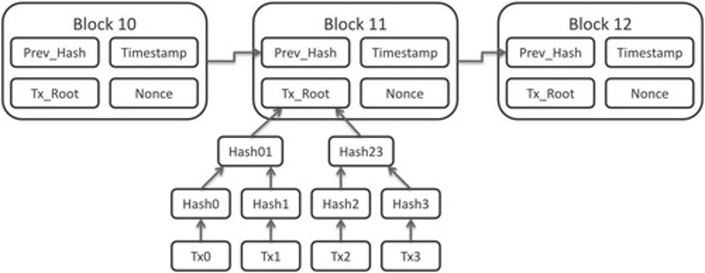 <p>Define the term related to the structure of blockchain.</p>