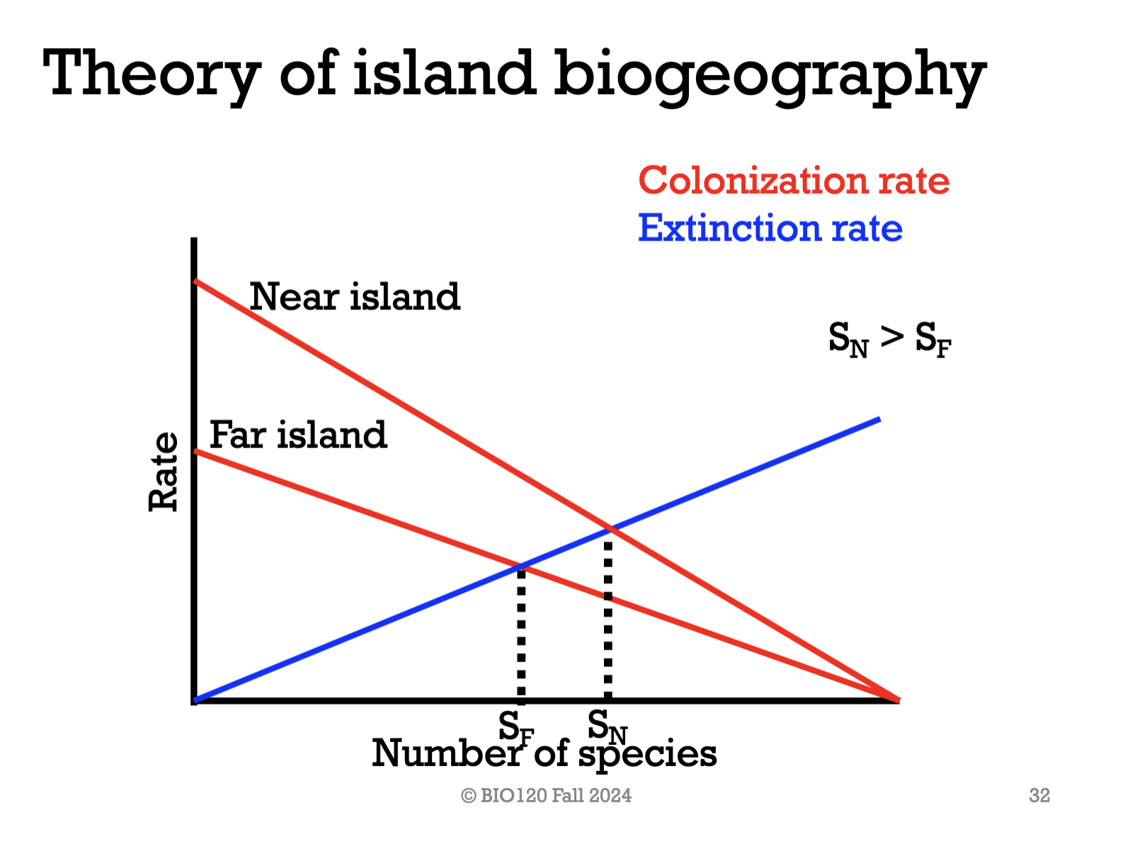 <p>The closer the island is to the mainland, the higher the colonisation rate and the bigger the population size at equilibrium. </p>