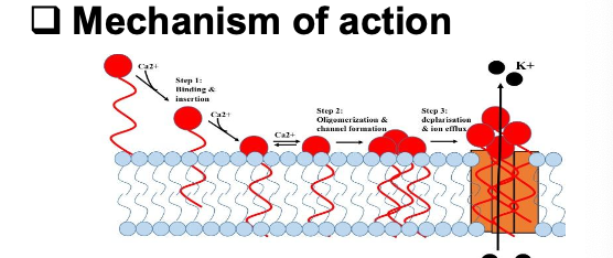 <p>Daptomycin is a _____________ antibiotic that targets the cell _____ and is restricted to ______ bacteria</p>