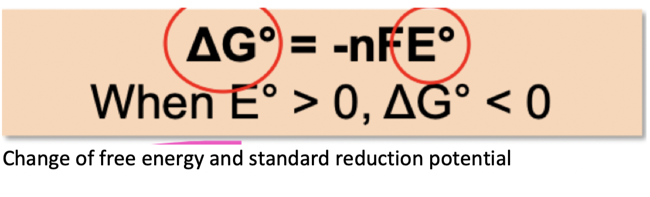  **Free energy change:** the amount of energy available to do useful work ( Delta G0) for microbes           

If the free energy is -ve (energy of products smaller than substrates) = exergonic 

  

If the free energy is +ve(energy of products is greater than substrates)= endergonic 

      