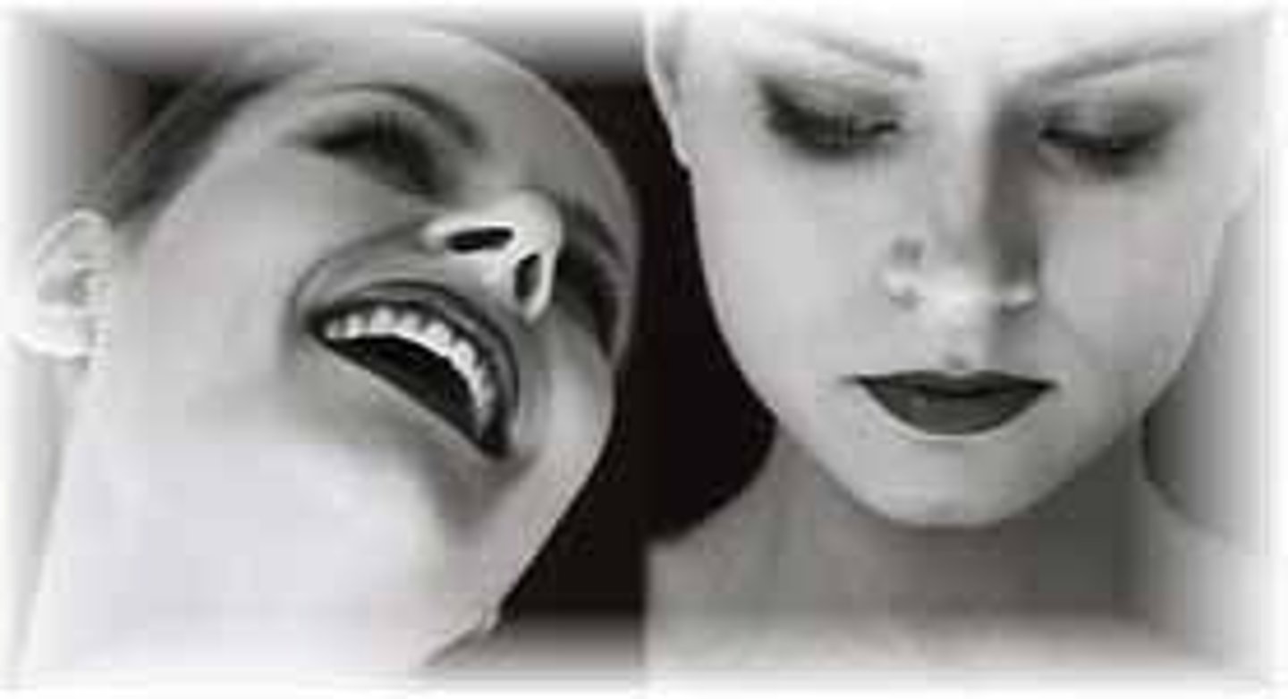 <p>a type of bipolar disorder marked by full manic and major depressive episodes</p>