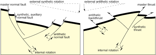 <p><span>dips and moves in the opposite direction of the main fault. Occurs in extensional/strike-slip environments. Layers of sediment thicken toward the fault</span></p>
