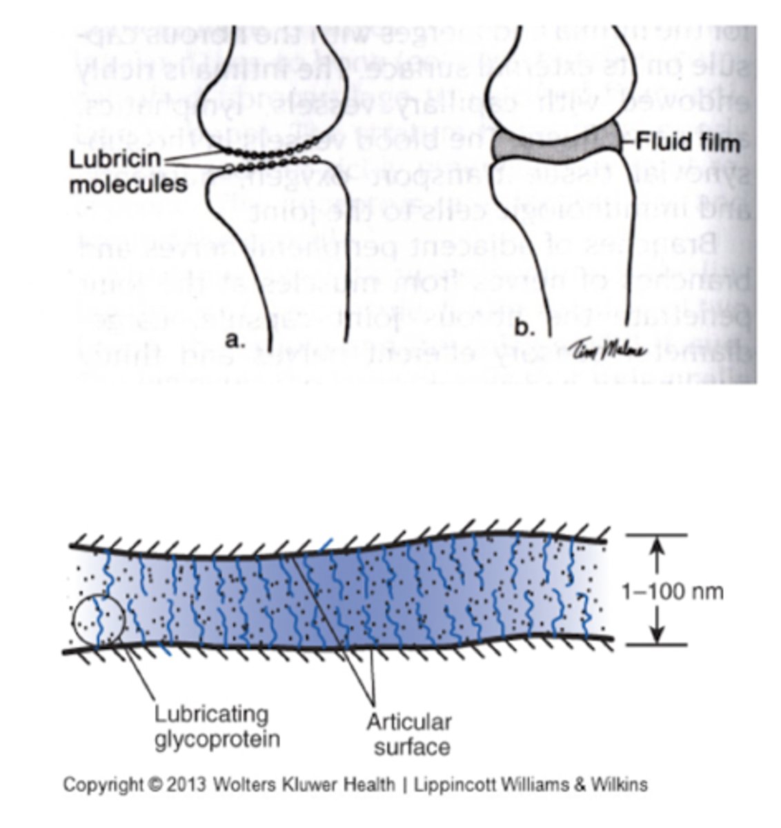 <p>Possibly effective during sliding at elevated speeds</p>
