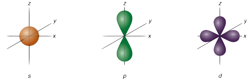 <p>s → spherical</p><p>p → dumb bell shaped</p><p>d → double dumbbell</p><p></p>