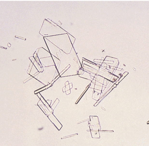 <p>Highly birefringent</p>