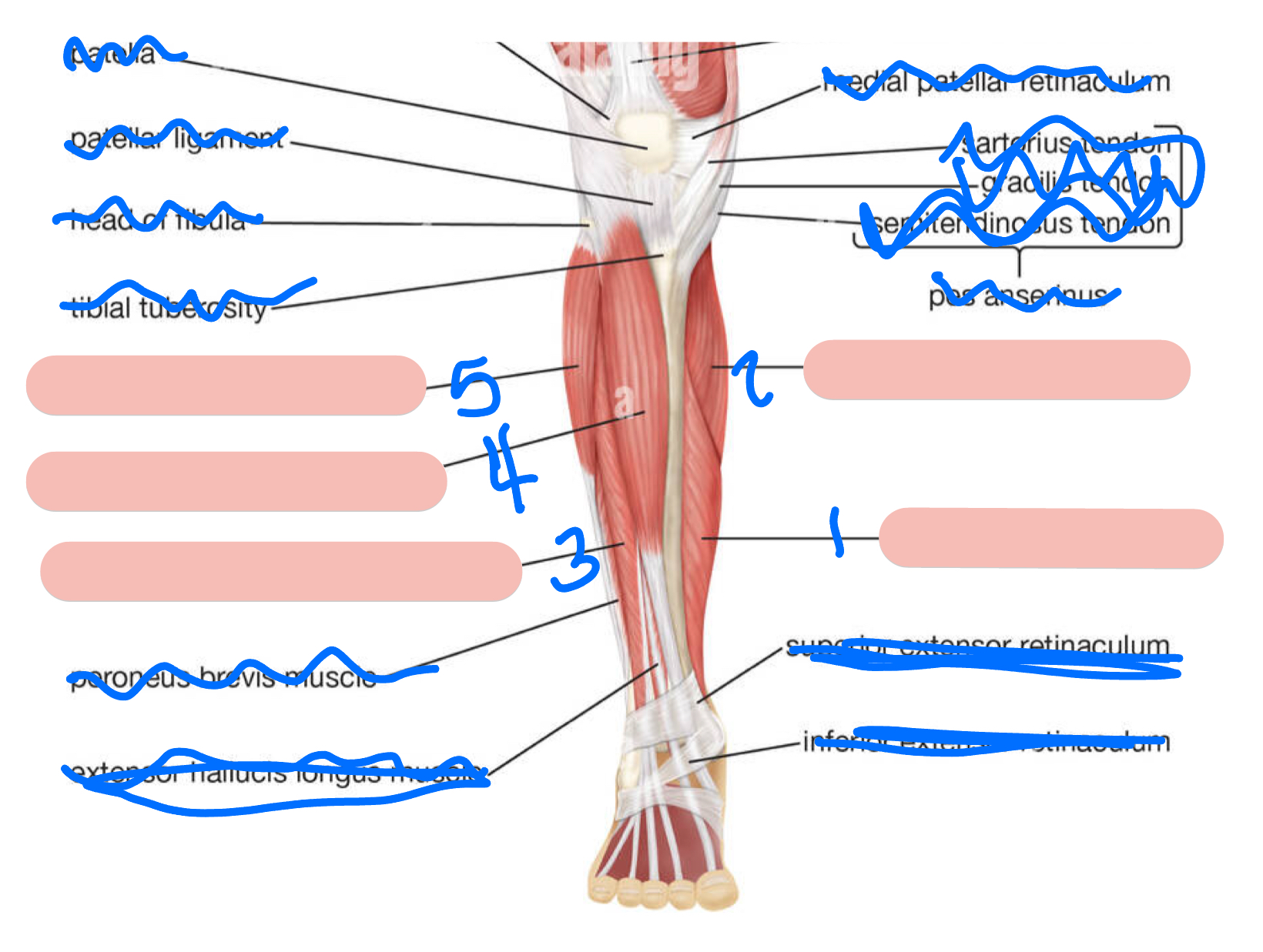 <p>1</p>