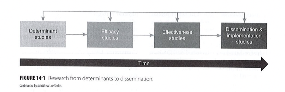 
1. determinant studies 
2. efficacy studies
3. effectiveness studies 
4. Dissemination & implementation studies 