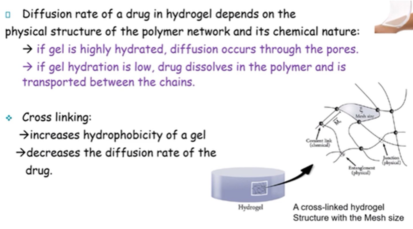 <p>Diffusion occurs through pores</p>