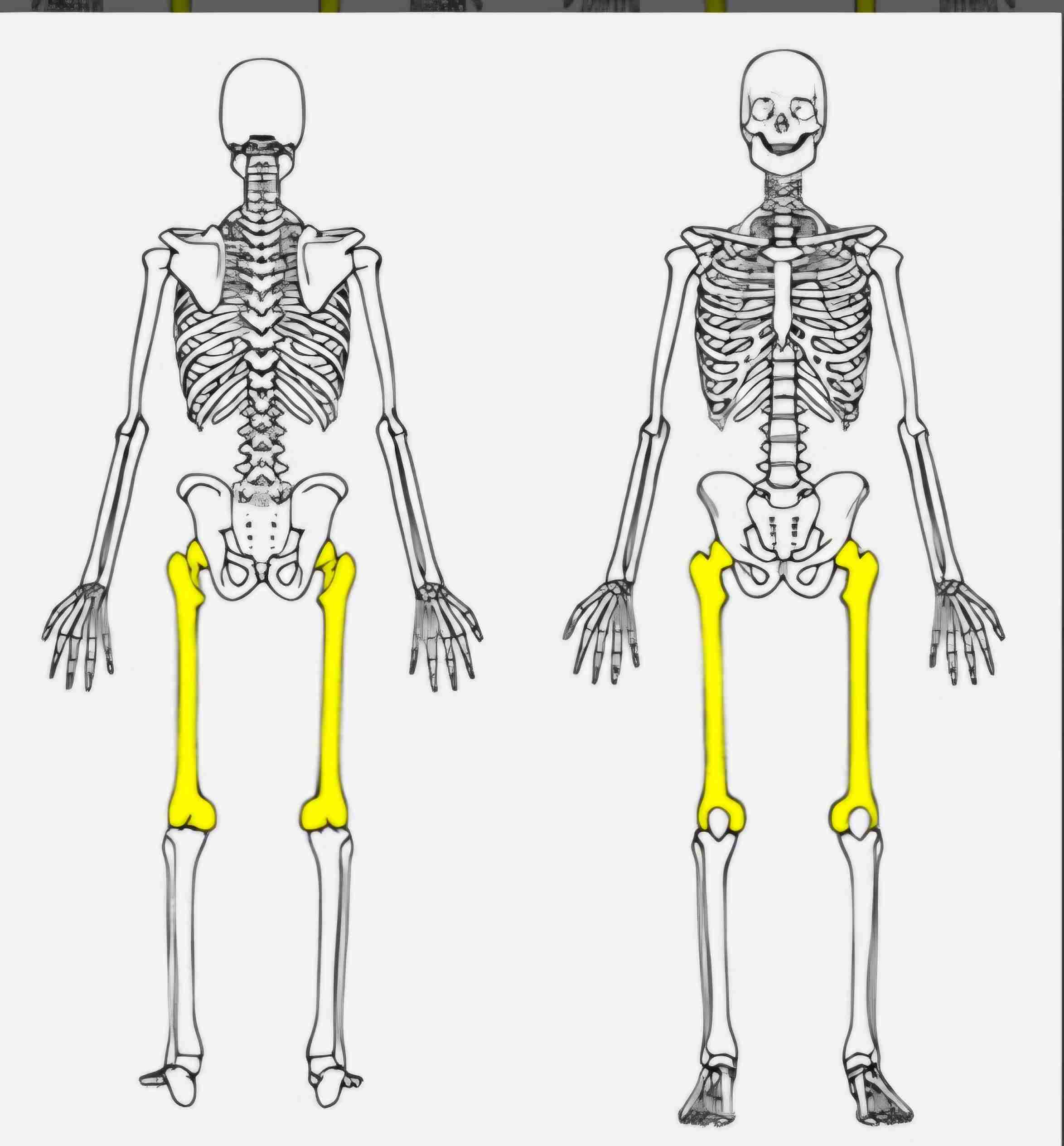 <p>What bone is this?</p>
