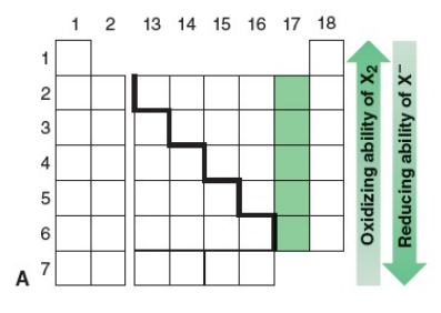 <p>A. The oxidizing ability of X2 (ability to abstract an electron) decreases down the group…. and the reducing ability of X– (ability to give up an electron) increases</p>