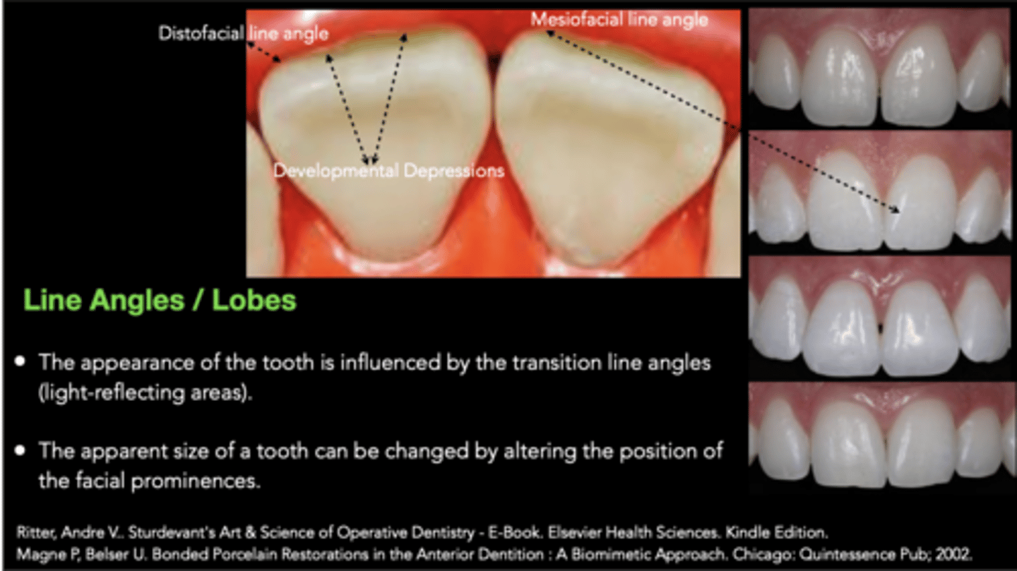 <p>Altering position of the facial prominences</p>