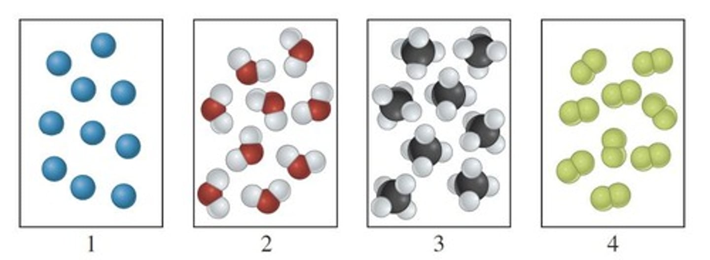 <p>A molecule composed of two atoms.</p>
