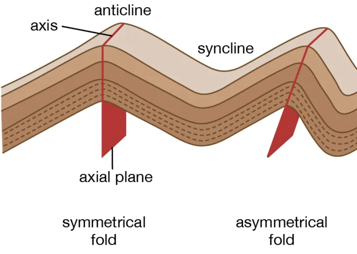 <p><strong>Symmetric</strong> = limbs slope at <strong>same</strong> <strong>angle</strong> and axial plane is <strong>vertical </strong>(2 equal halves)</p><p><strong>asymmetric</strong> = one side of limbs is steeper than other; axial plane is <strong>inclined </strong>(unequal halves)</p>