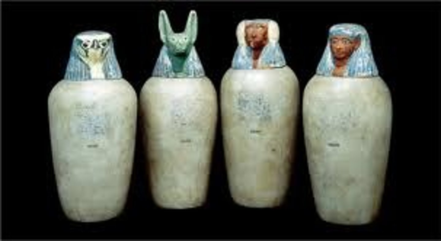 <p>Jars used during embalming to hold organs (liver, intestines, stomach, lungs)</p>