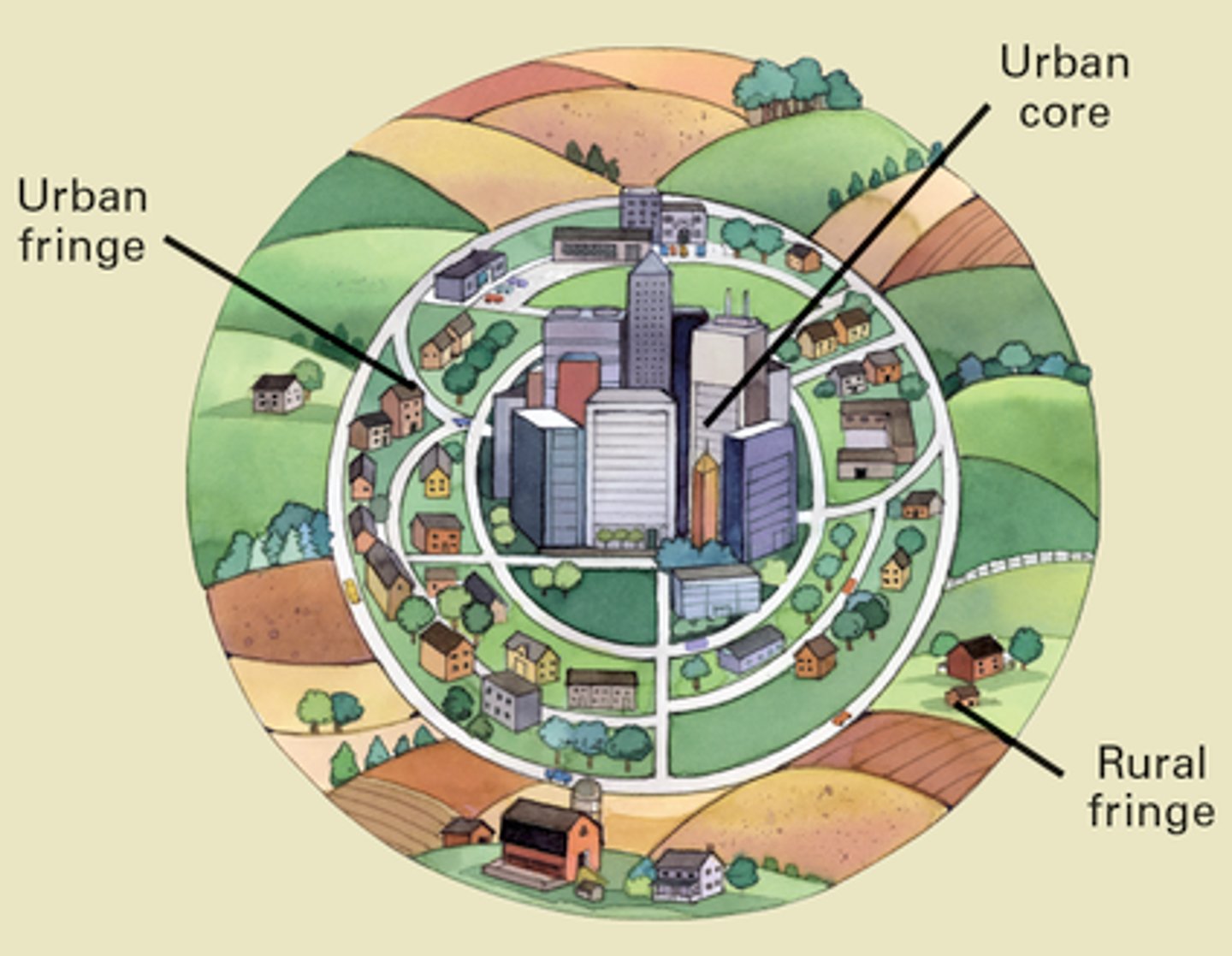 <p>Permanent movement from rural area to the urban city area.</p>