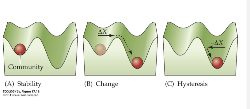 <p><span>Hysteresis </span></p>