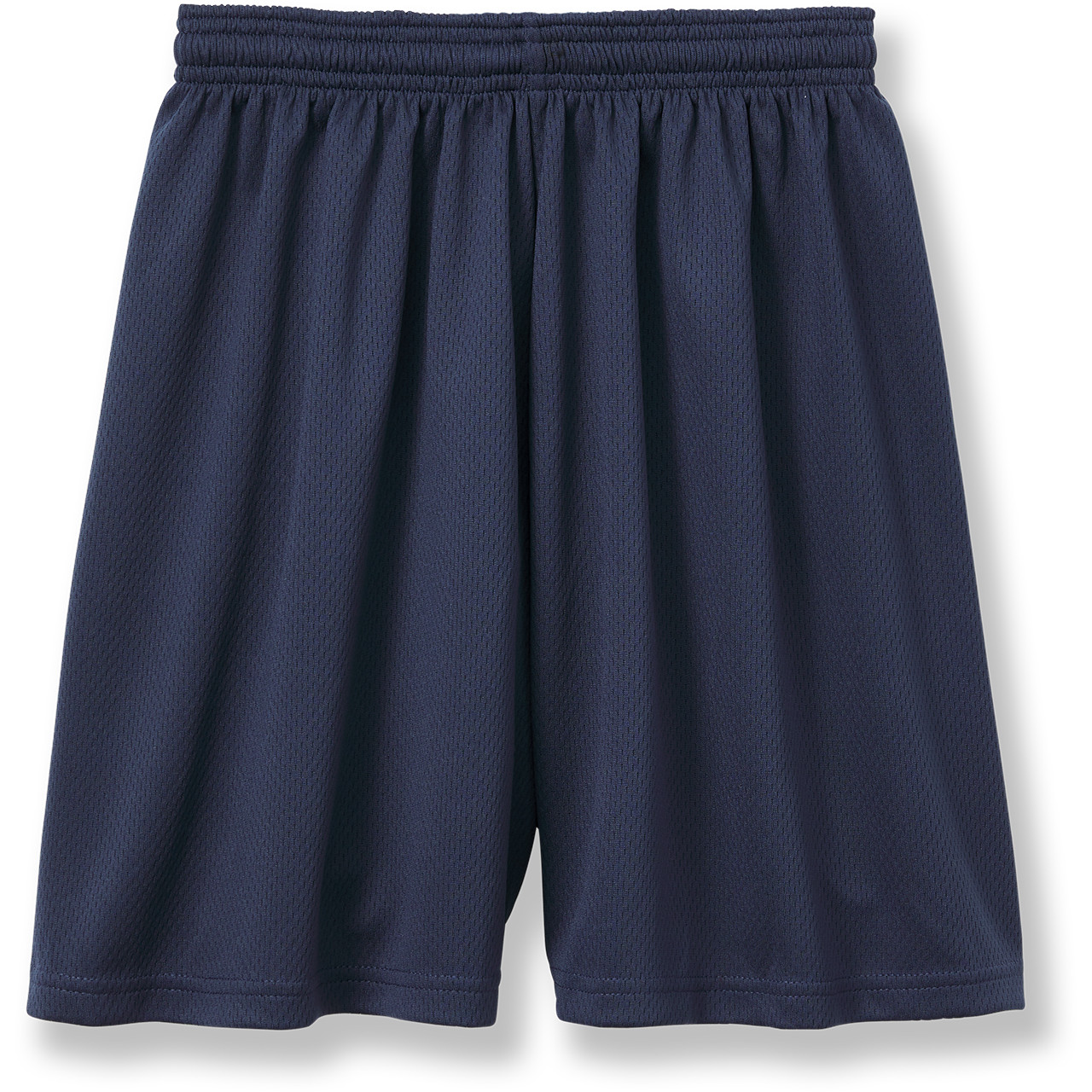 <p>micromesh gym shorts</p>