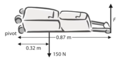 A person raises a suitcase by pulling on the handle with force *F.* The weight of the suitcase is 150 N.

Calculate the force *F* that the person must apply on the handle to start raising the suitcase