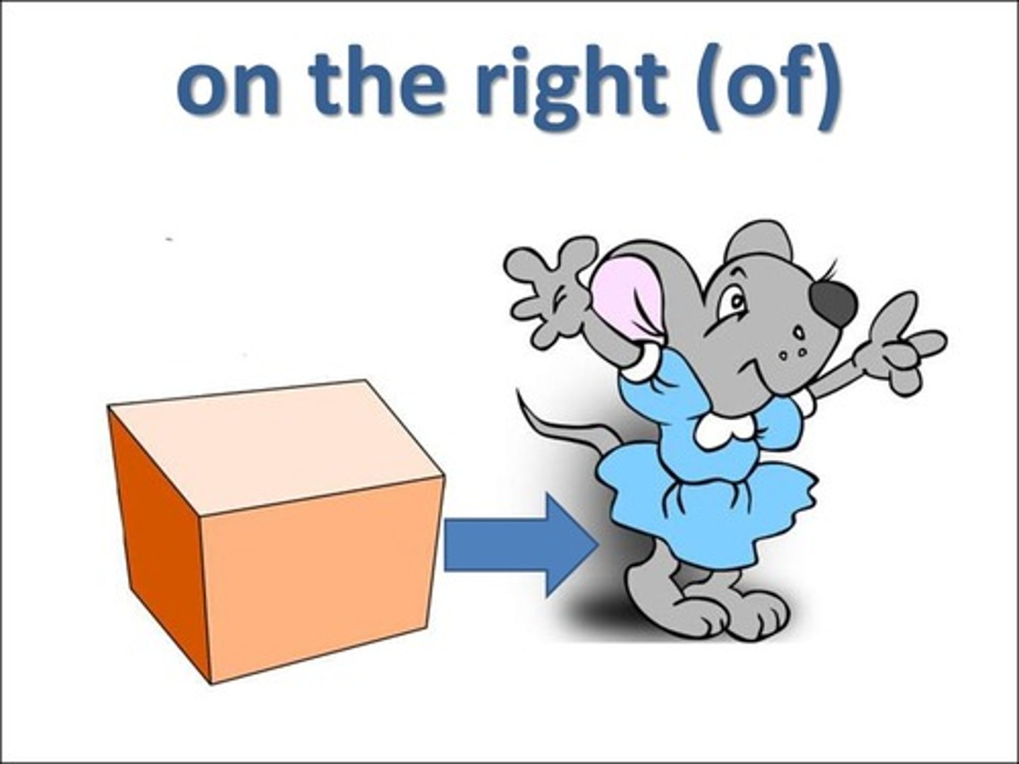 <p>on the right</p>